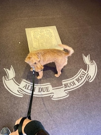 Qui posso alloggiare anche io