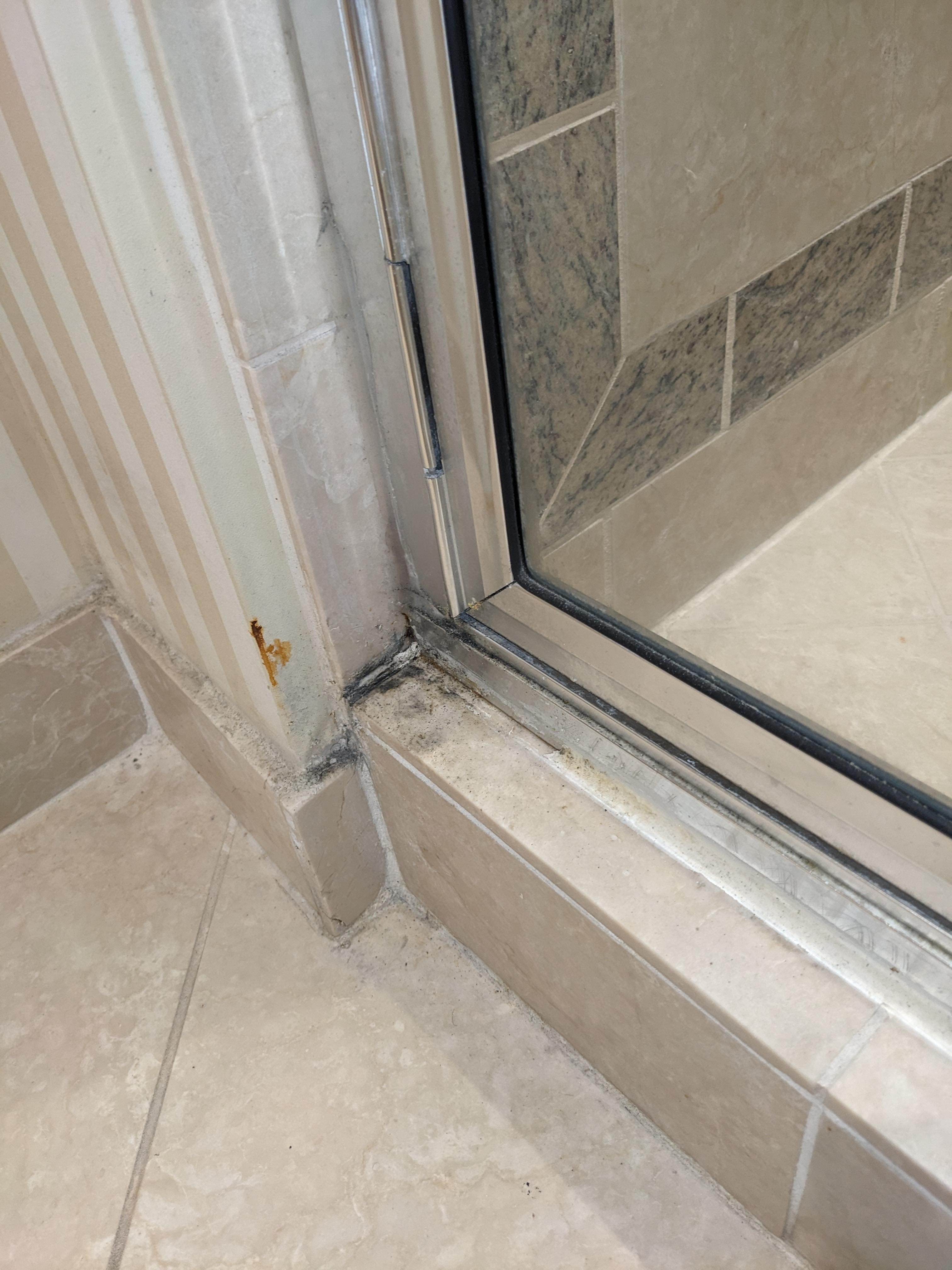Mold around shower