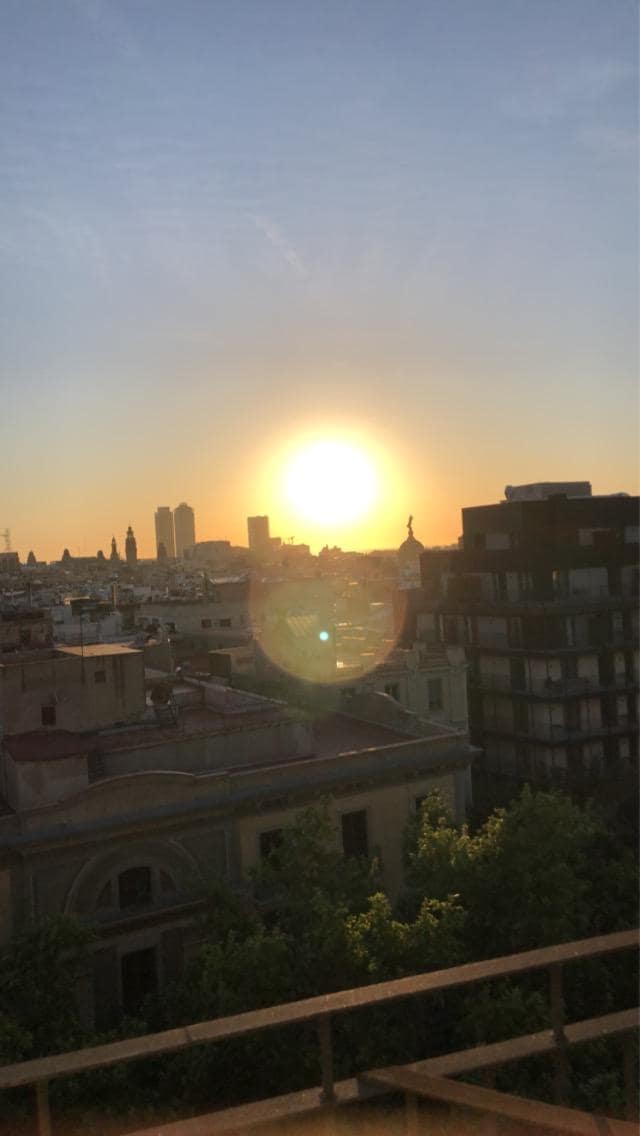 Morgensol