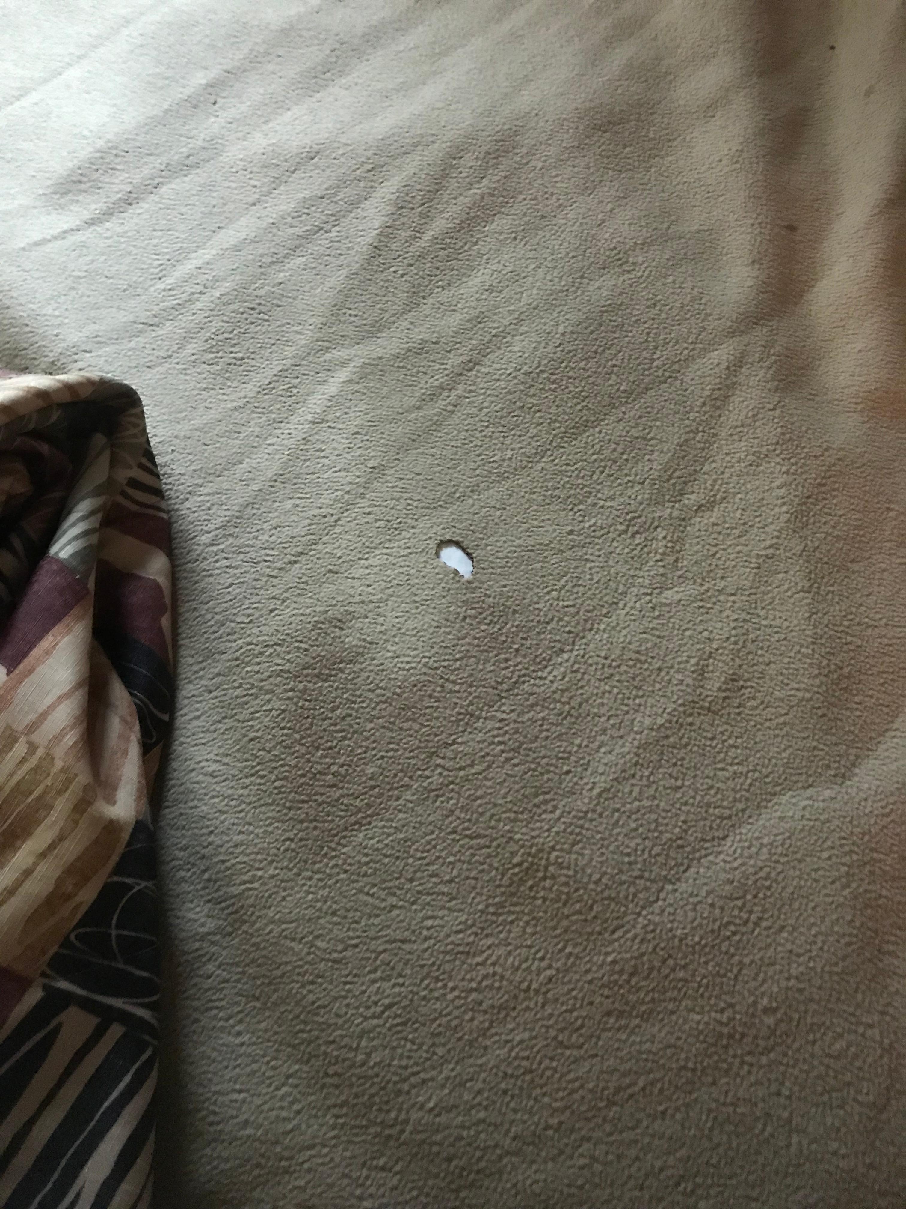 Burned Blankets