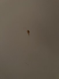 Condition of room after cleaning