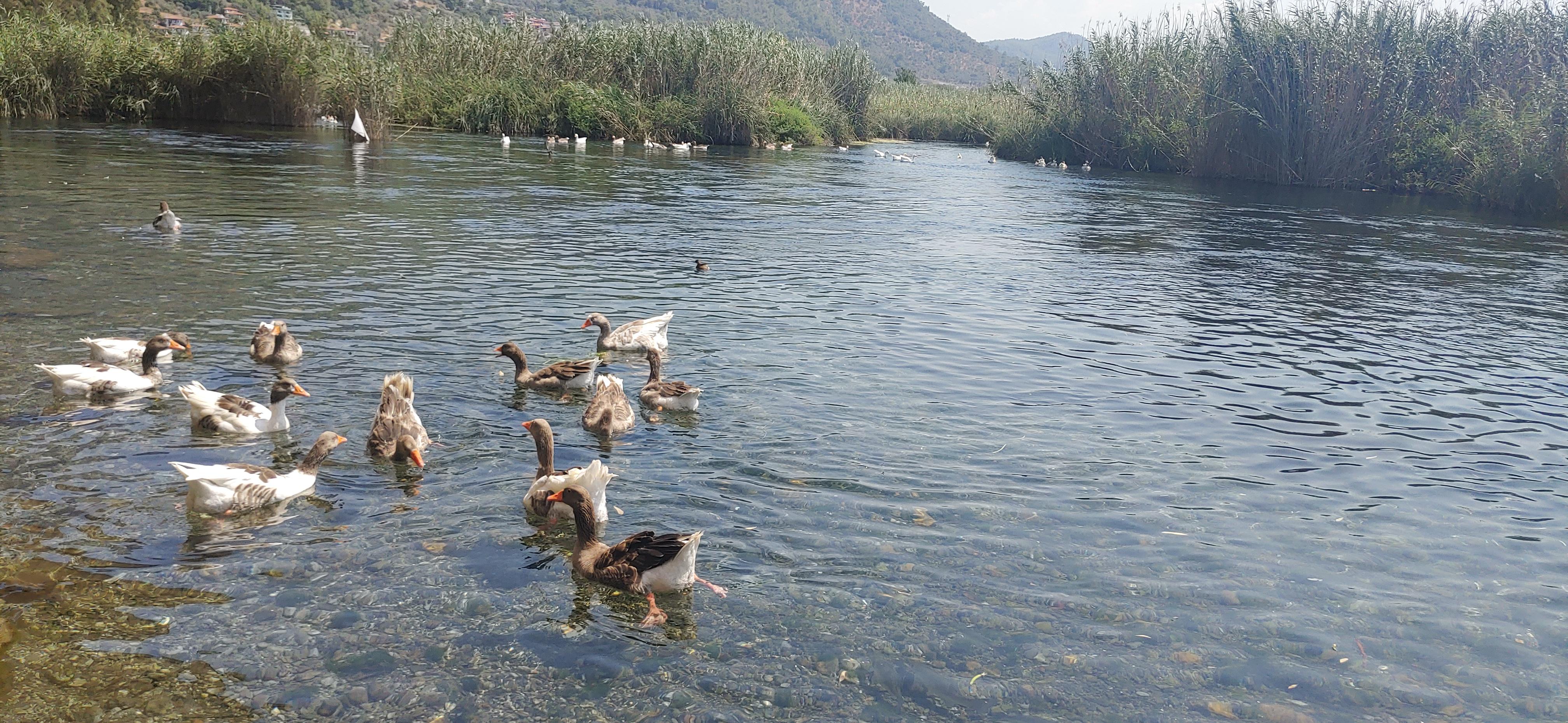 Azmak Nehri