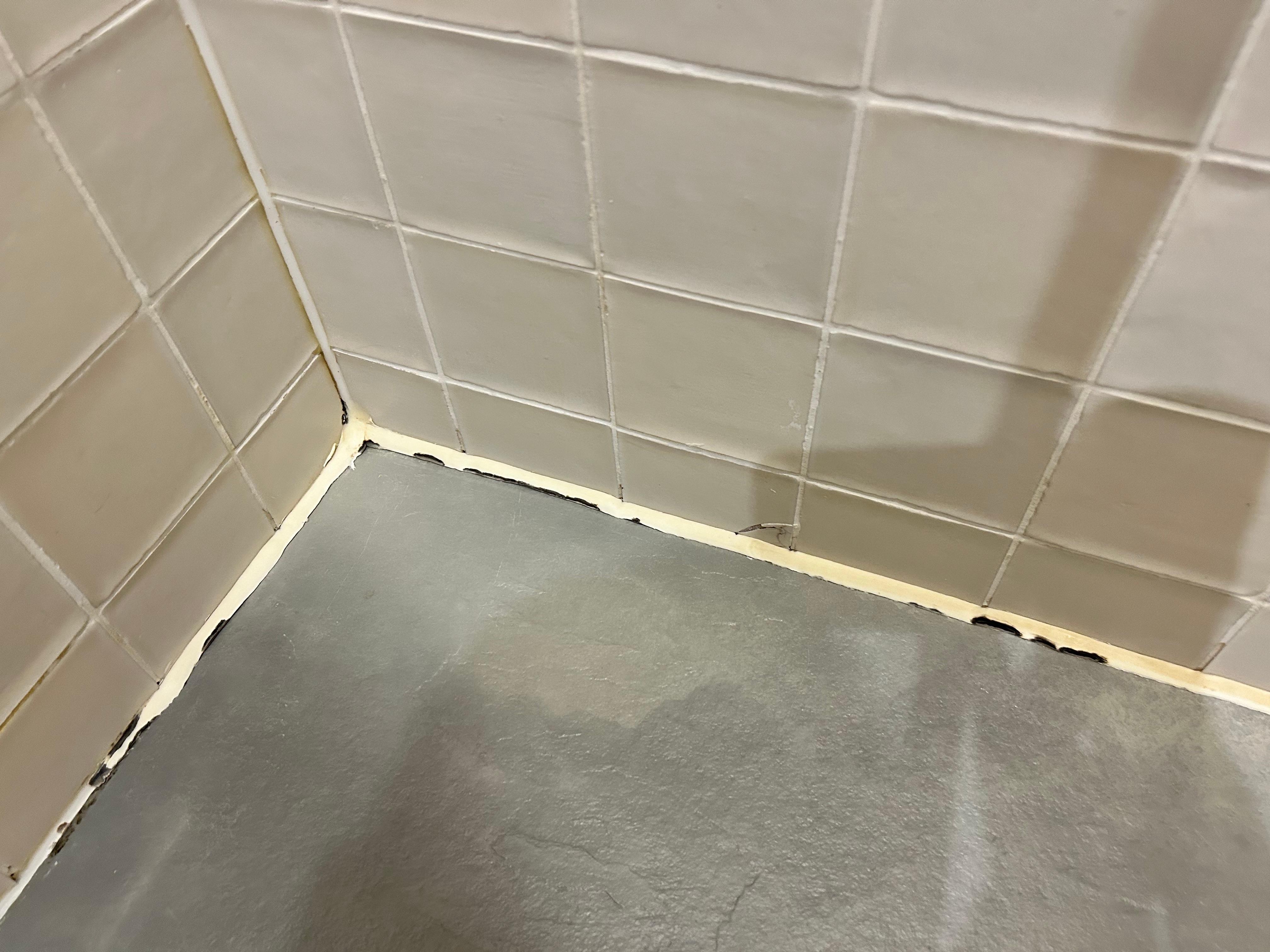 Mold in the bathroom 