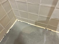 Mold in the bathroom