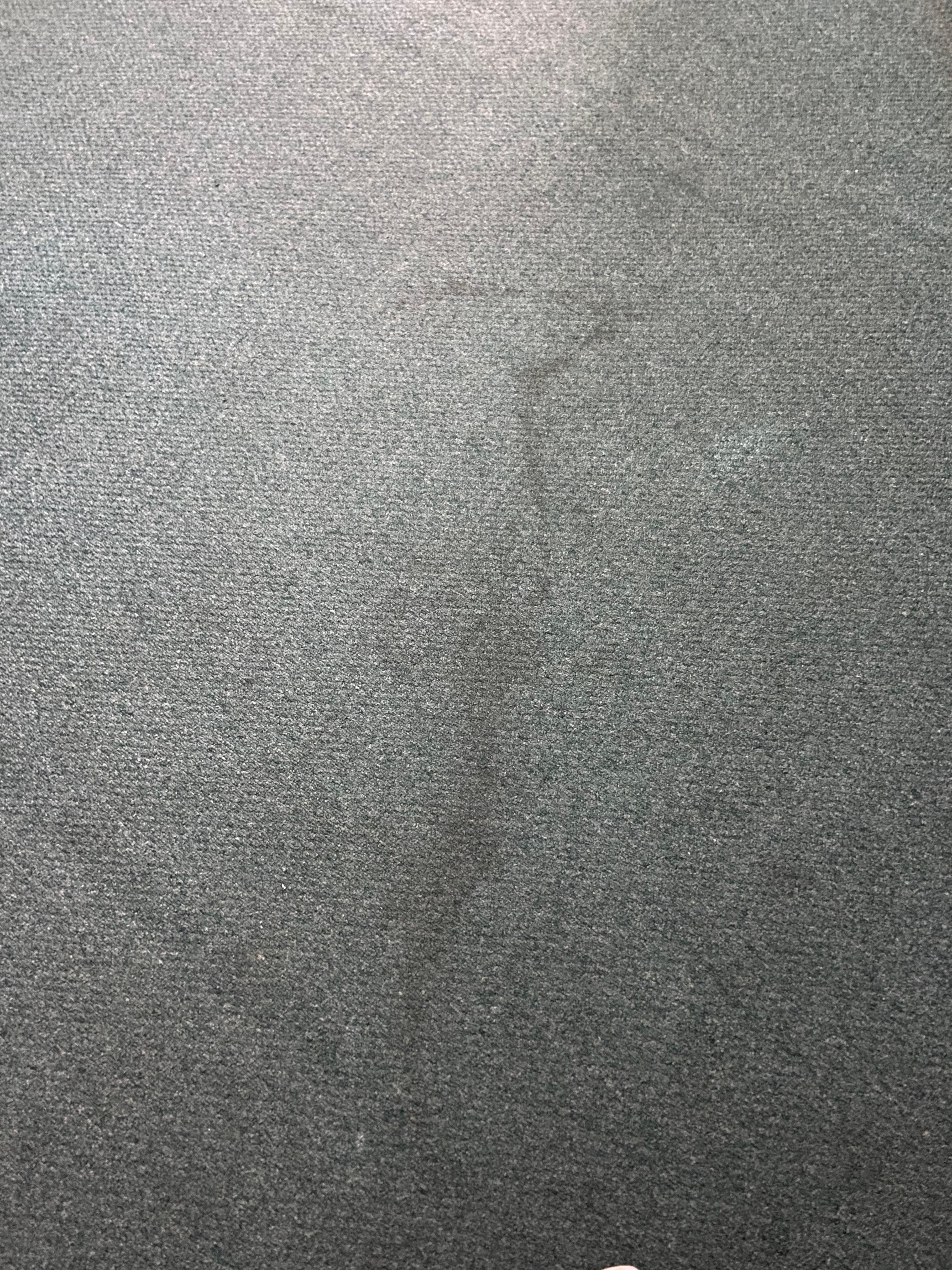 Filthy carpets