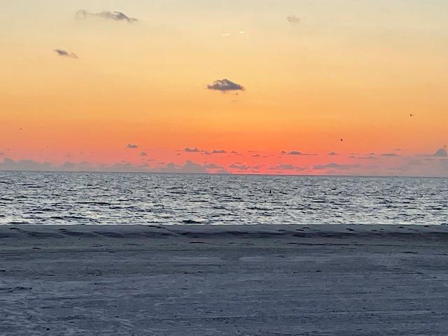 Beautiful view from the condo beach property