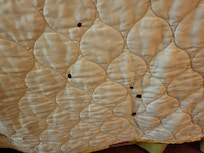 Cigarette burn holds in back of bedspread. Room was non-smoking but smelled very smokey.