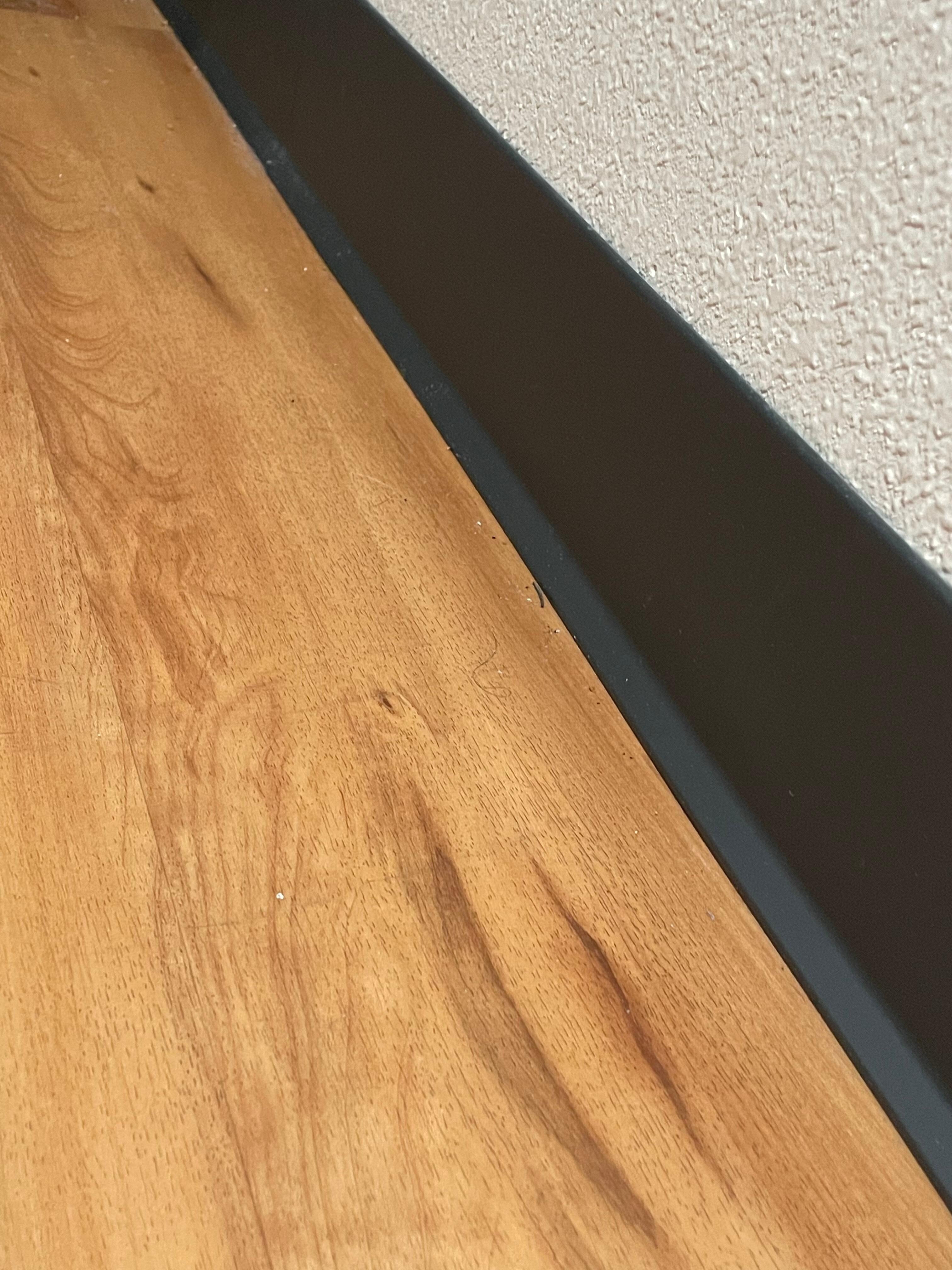 Just an example, the edges of the whole room looked like this. Hair/dirt everywhere! 🤢