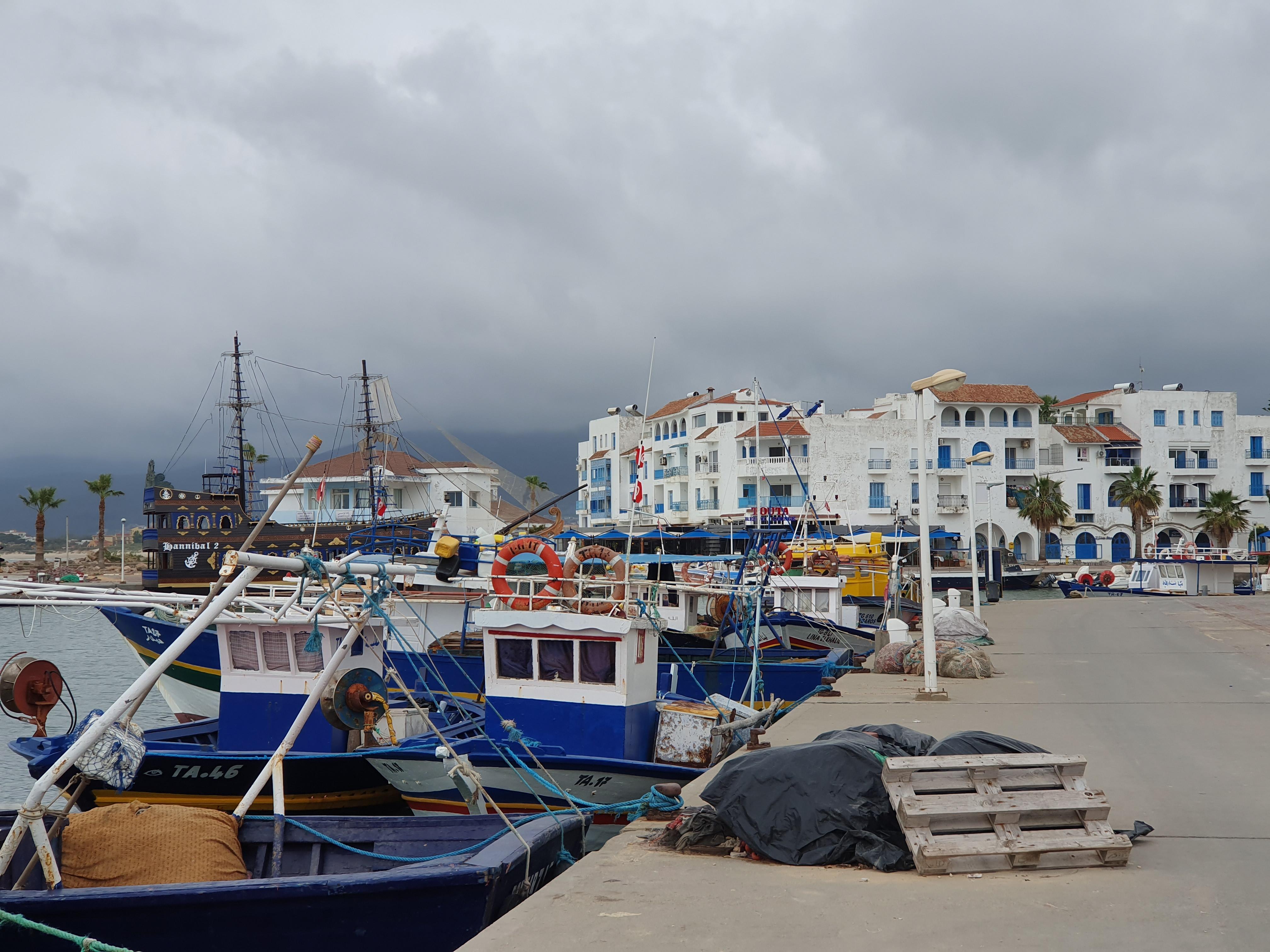 Tabarka marina