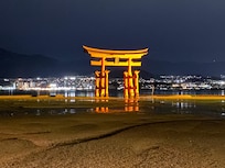 夜間のライトアップの鳥居
