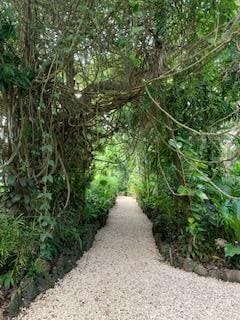 Walkway to room