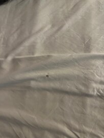 Another “non smoking” hole