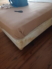 Stains: blood or BBQ sauce... you decide.