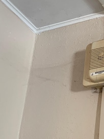 Spinnennetz oben links