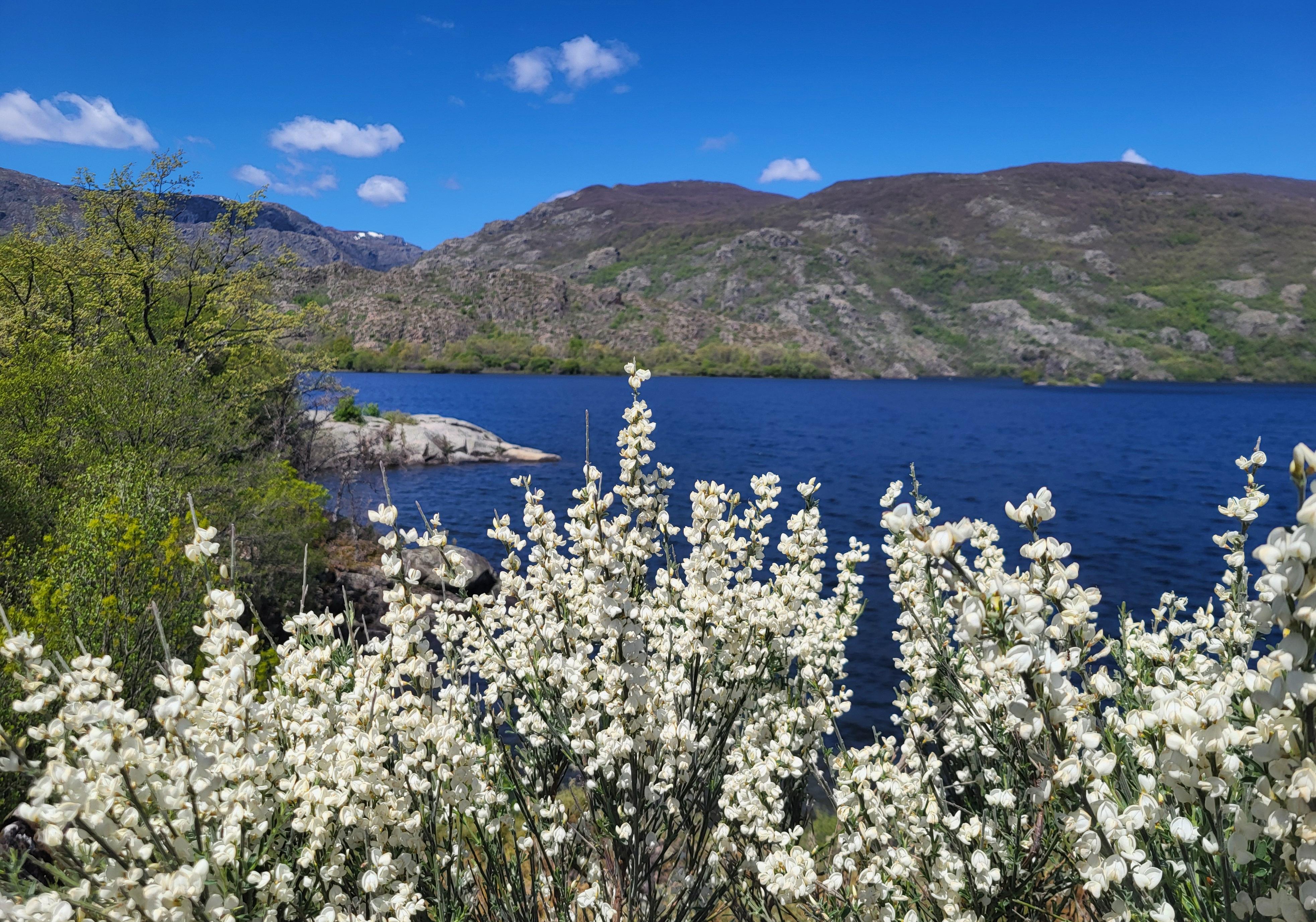 Lago de Sanabria