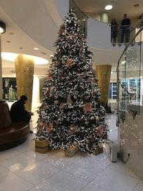 Flot juletræ, selvfølgelig sæson 🎄 men det hygger