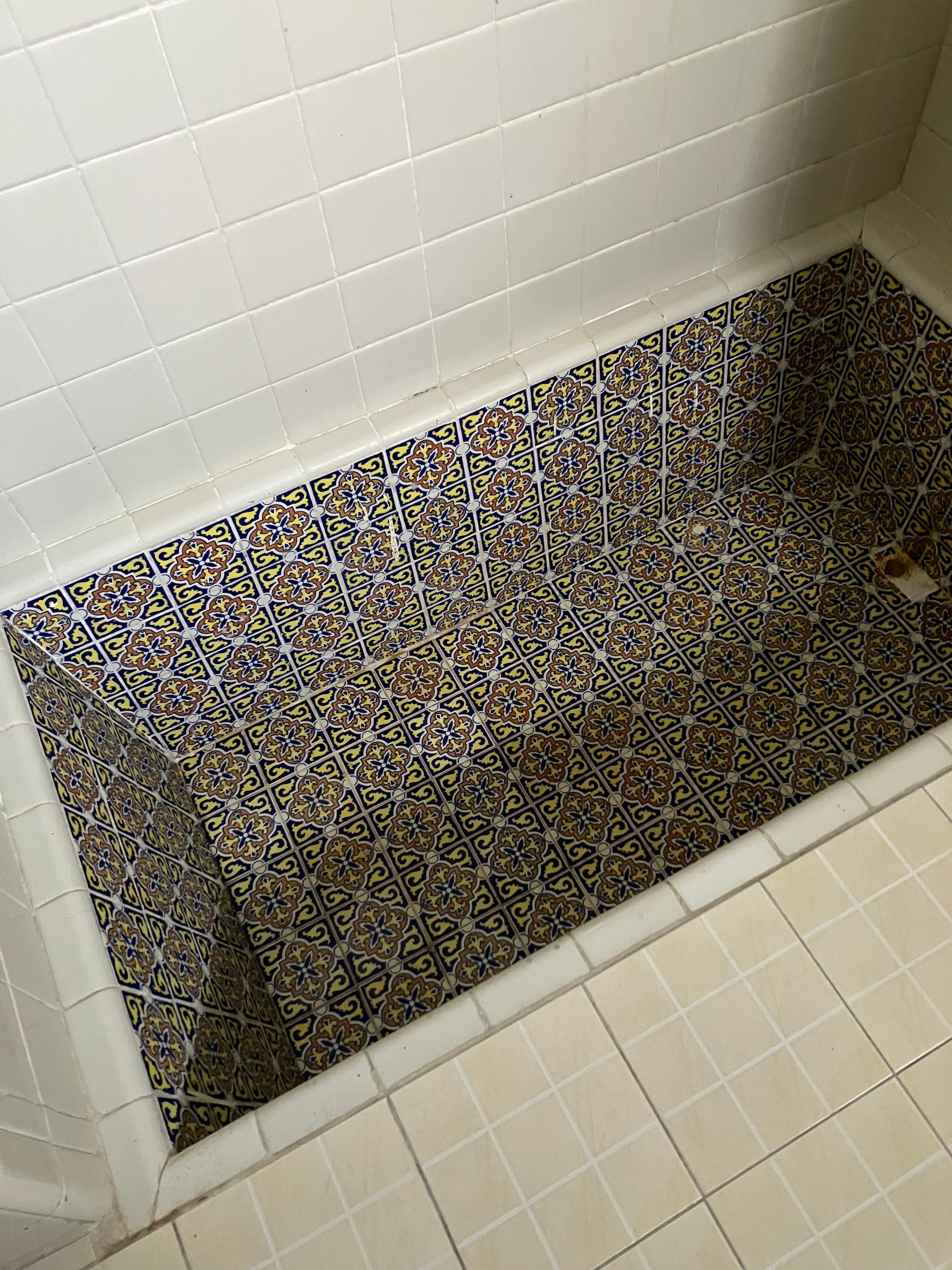 This is bizarre 2 feet deep pit you stand in while taking a shower