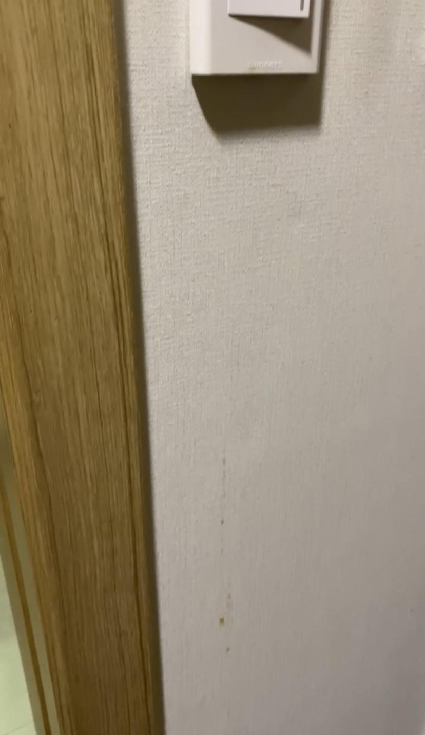 Dirt dripping below the light switch