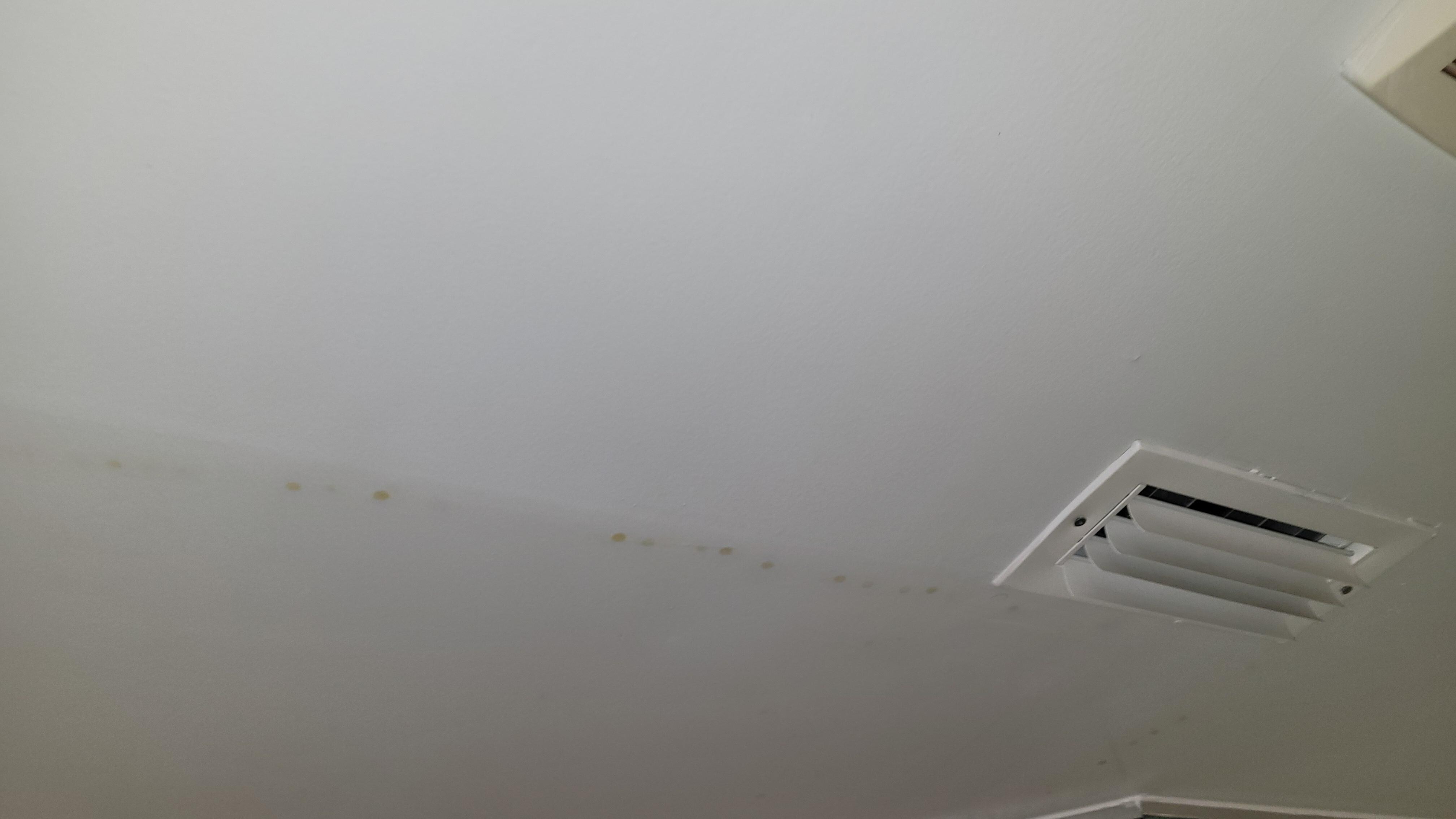 Mold