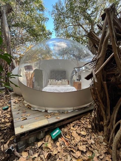 The Bayan Tree Bubble Lodge