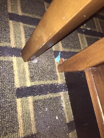 not vacuumed