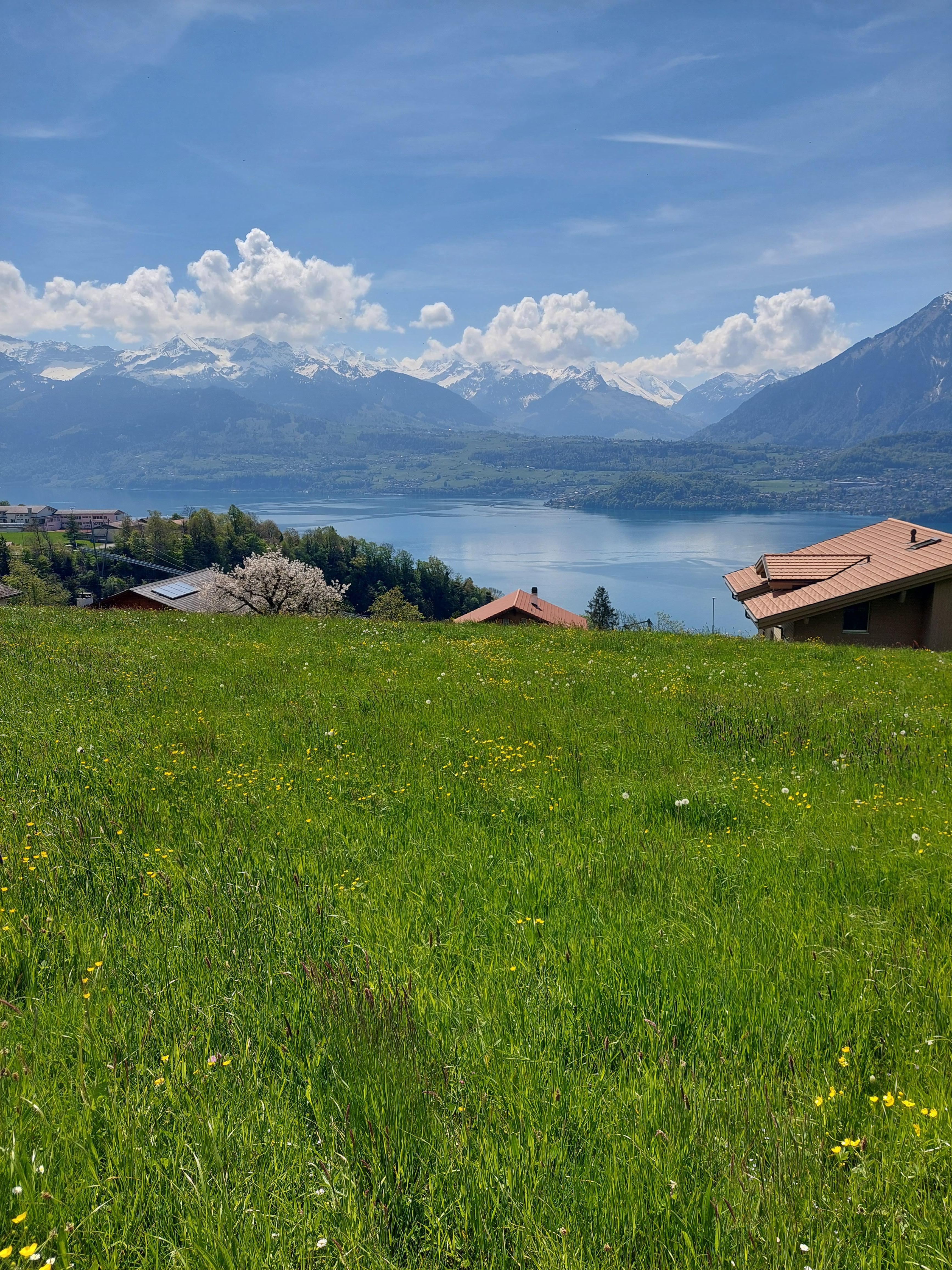 Lac de Thun