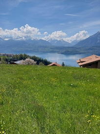 Lac de Thun