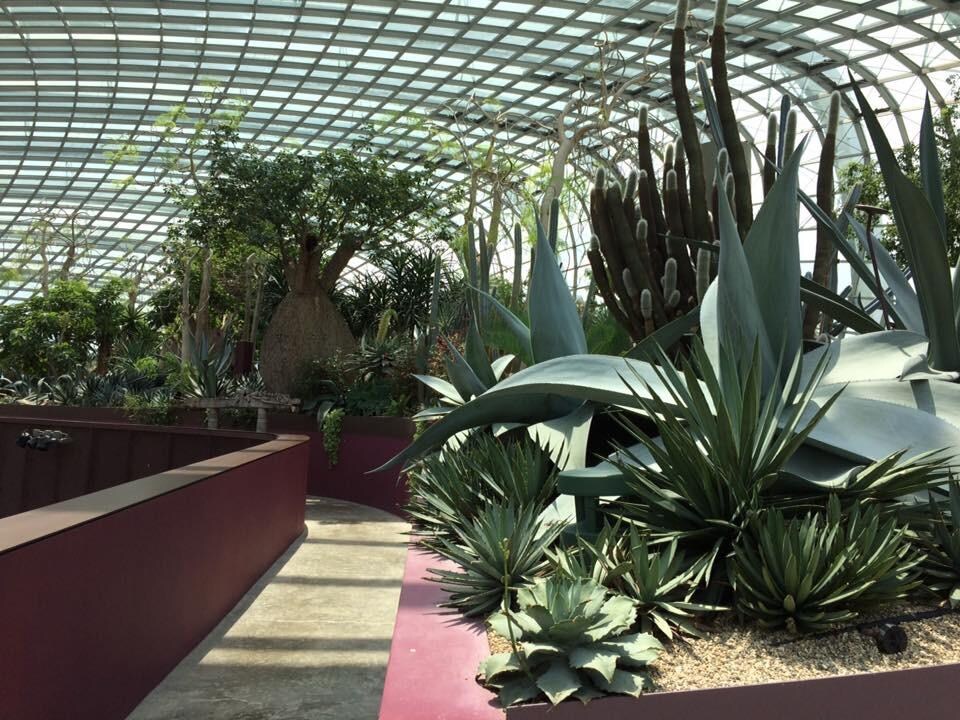 Gardens by the Bay