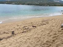 Plage privée