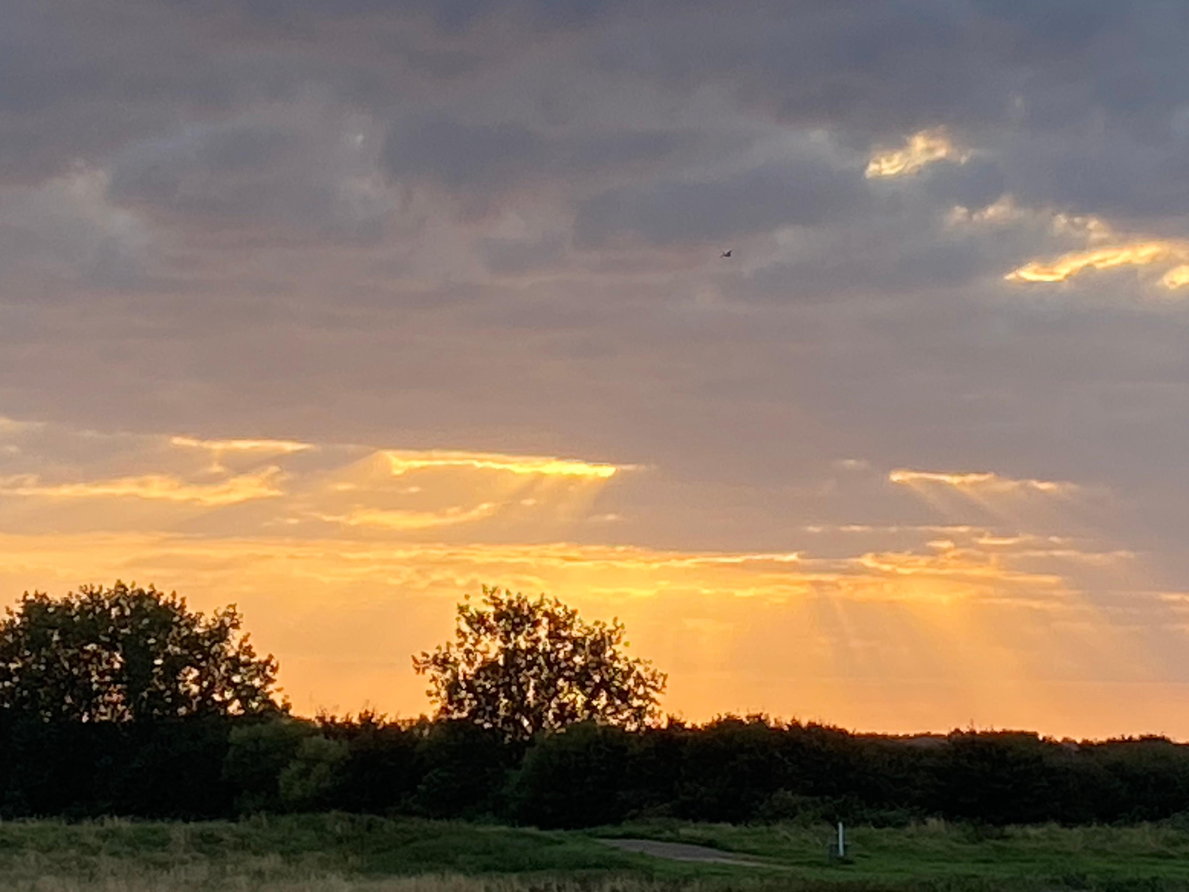 Beautiful evening walk 