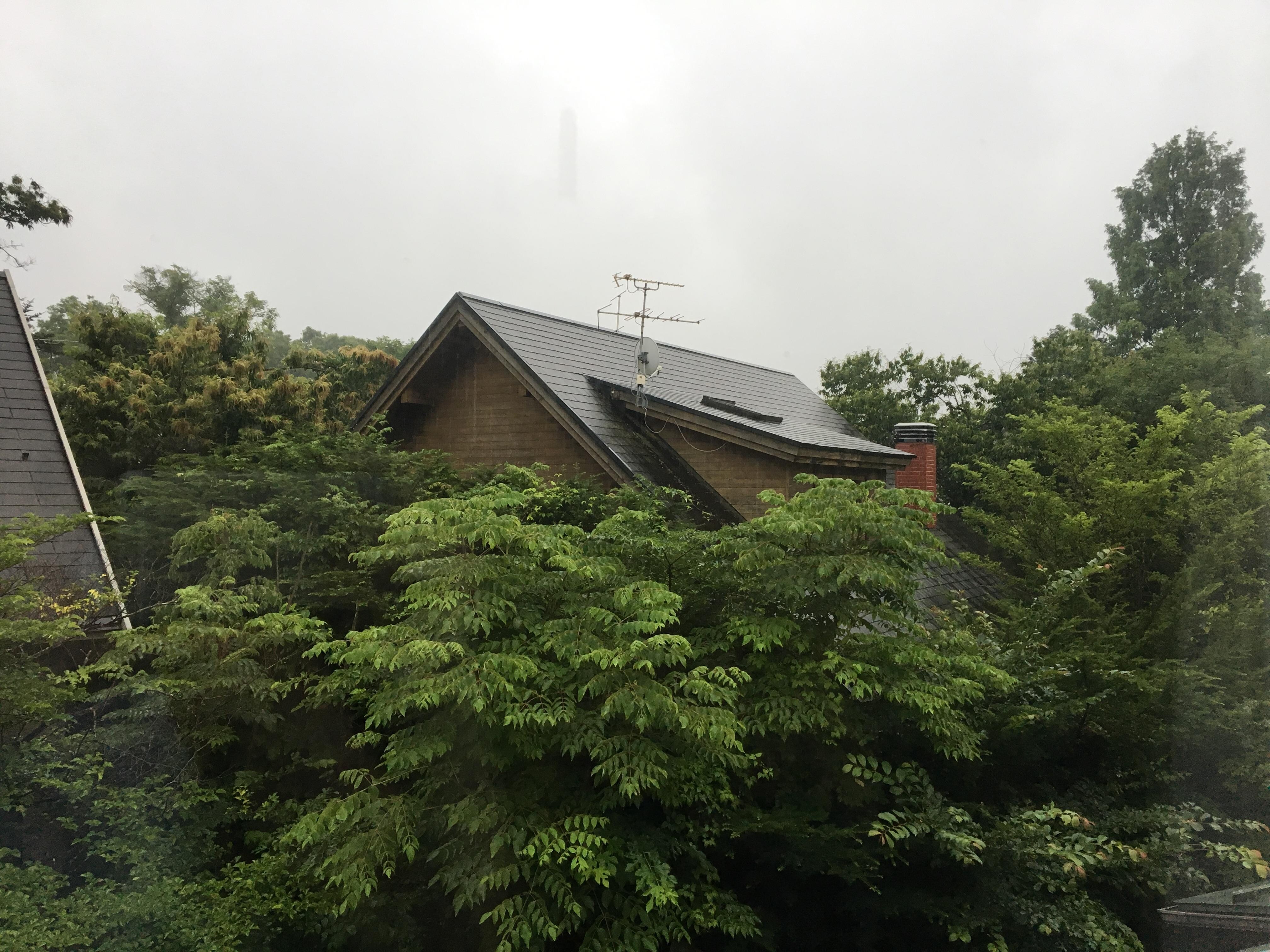 View outside our window