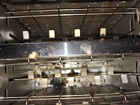 There was mold in the toaster, oven was very dirty, too.