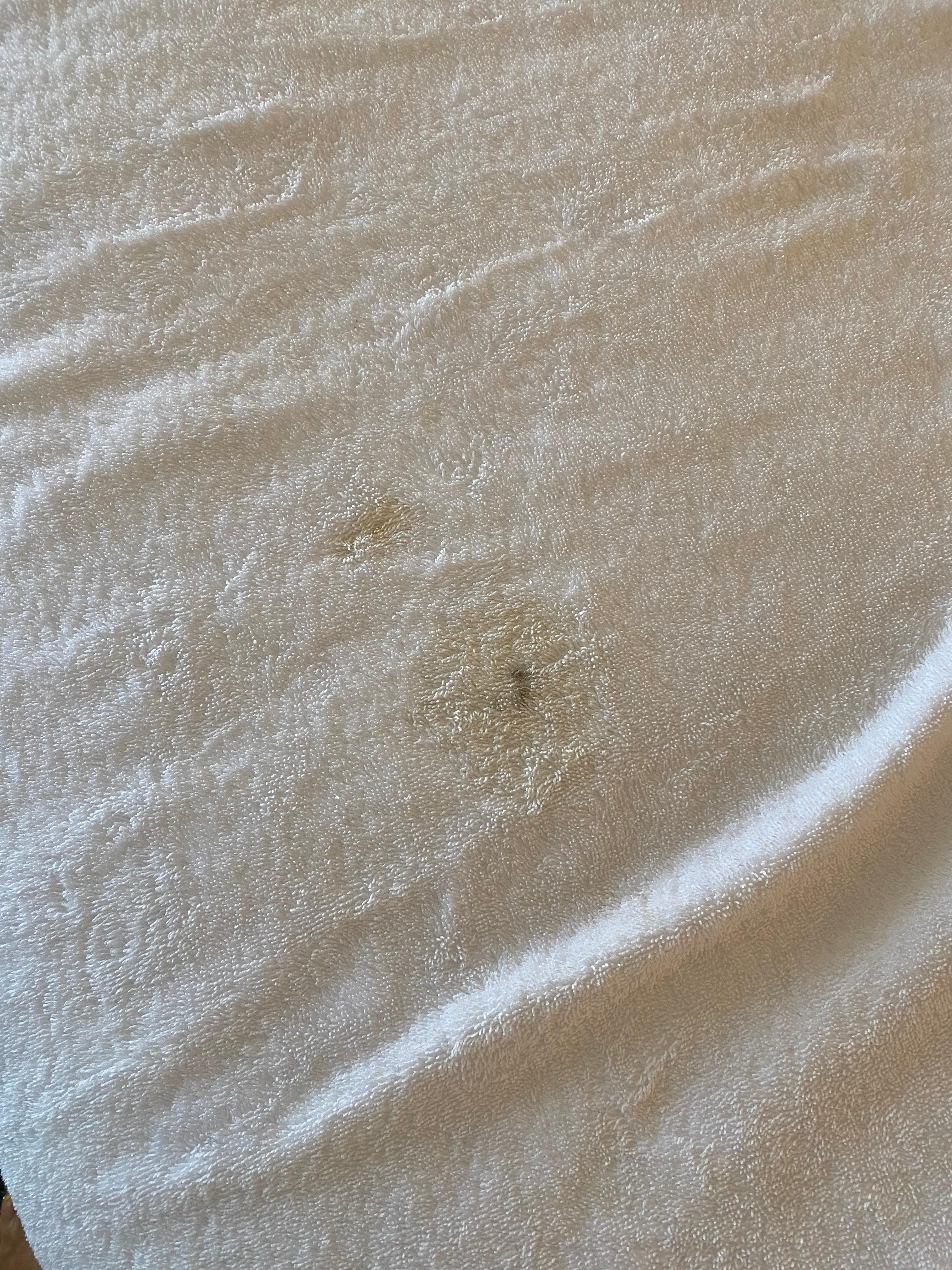 This was inside a ‘clean’ towel in our room