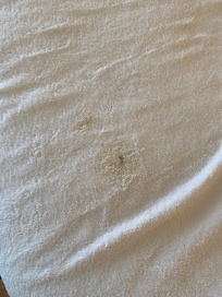 This was inside a ‘clean’ towel in our room