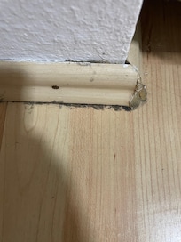 Room condition