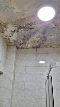 Plafond