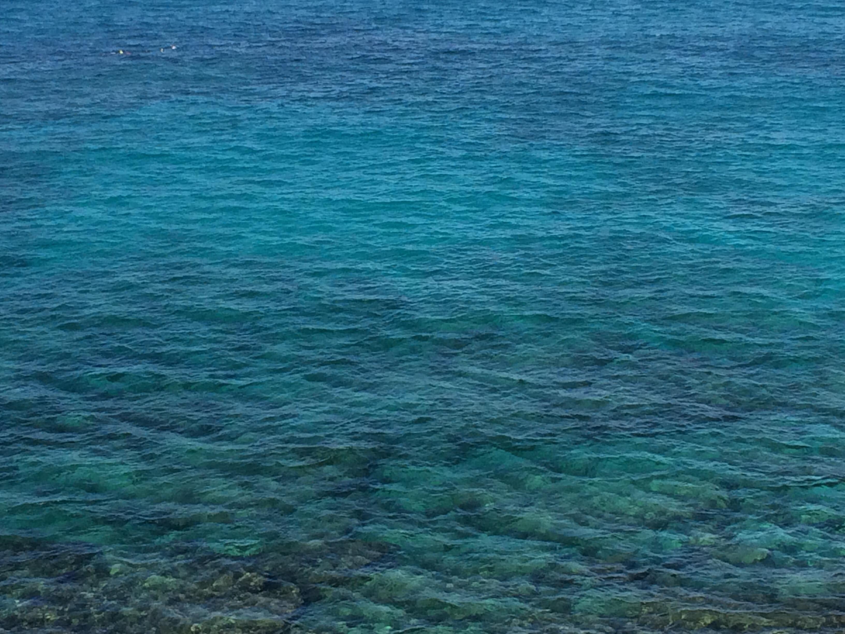 View of ocean