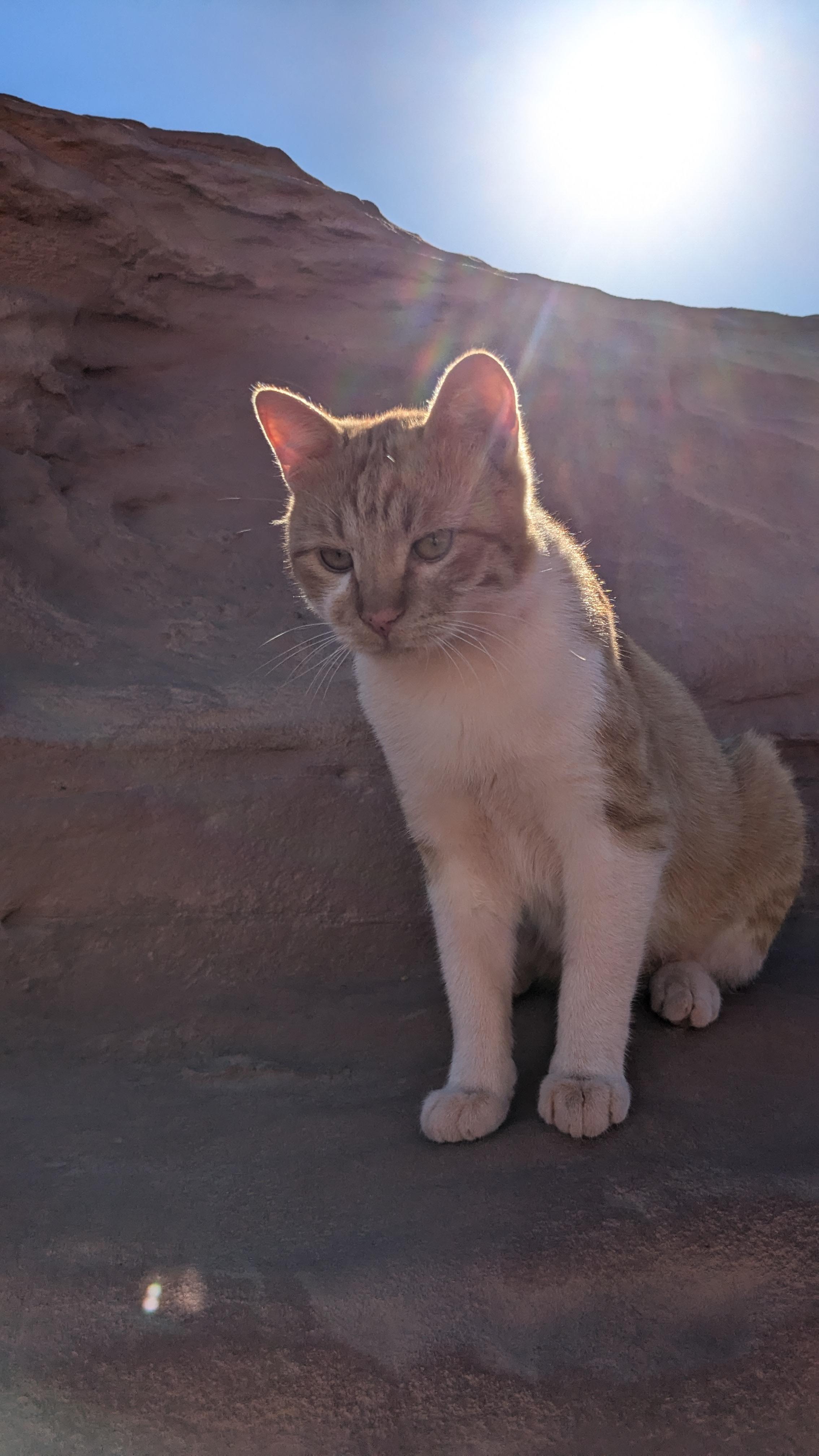 This was our climbing buddy by the Little Bridge.