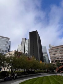 Omgivningarna vid hotellet