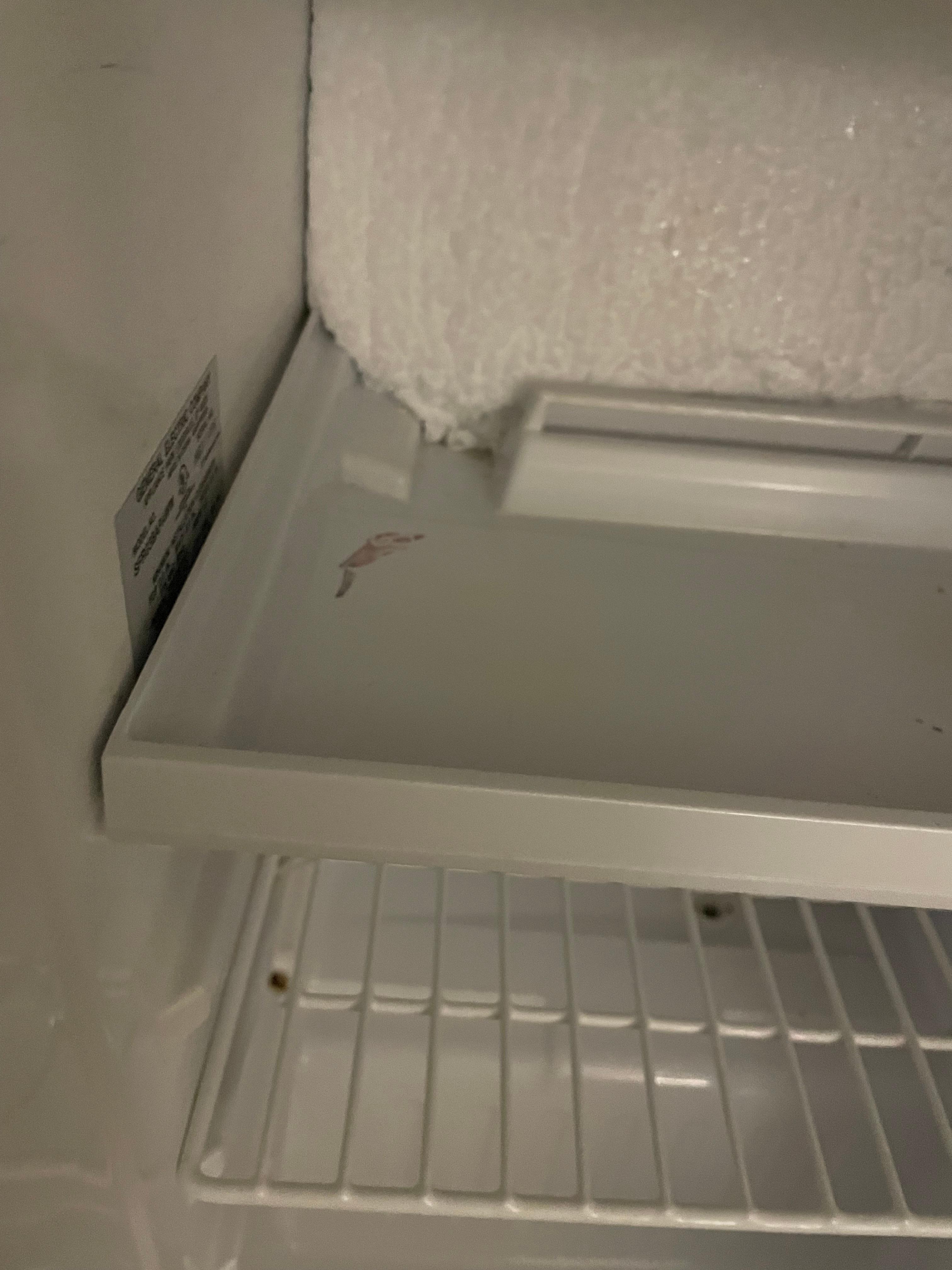 Mold in fridge