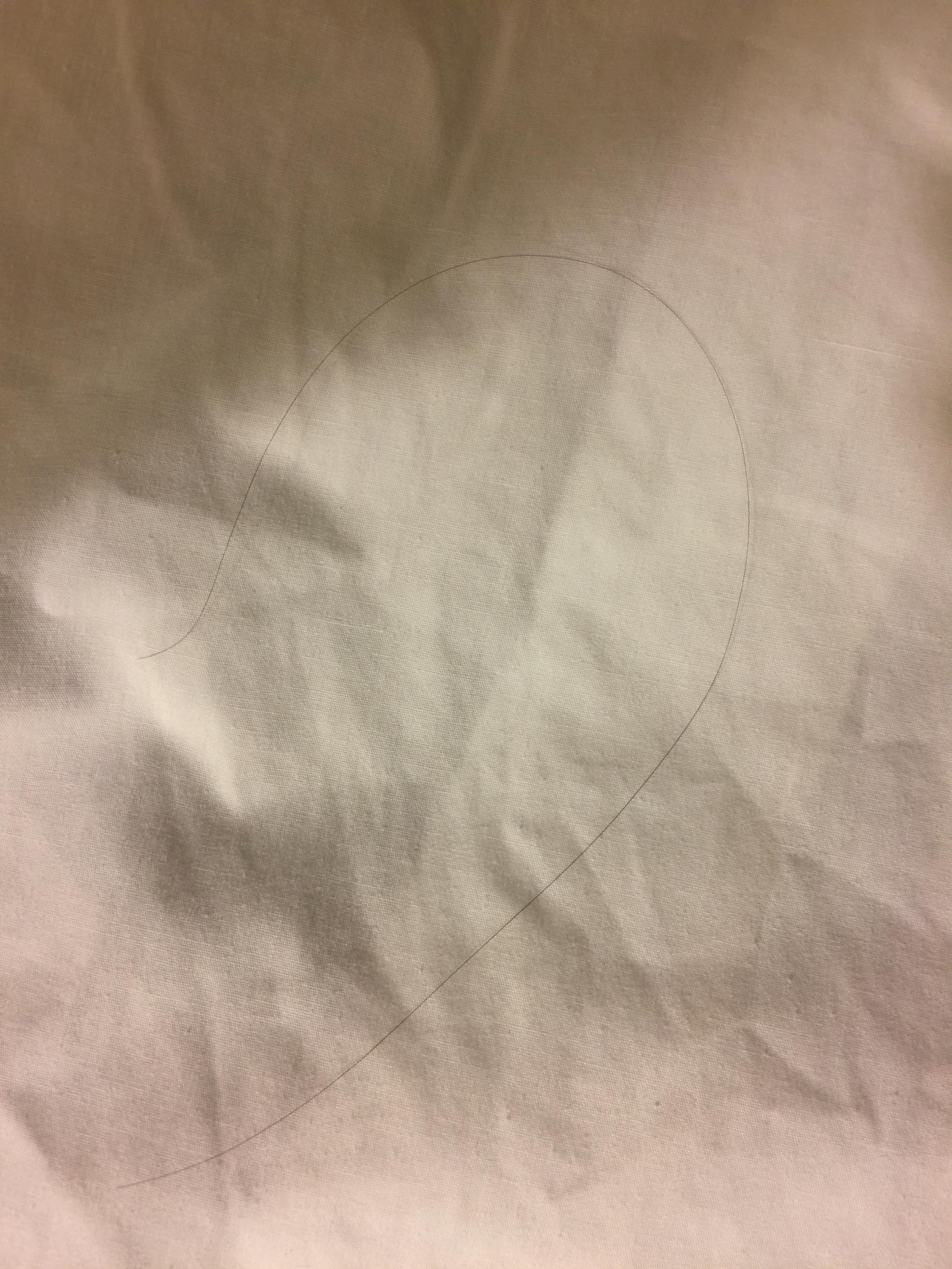 Hair in the bed