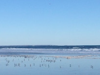 Novembre à Ogunquit