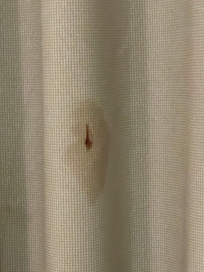 Cleaning needed in room