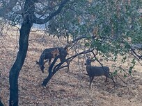 Welcomed guests every morning!