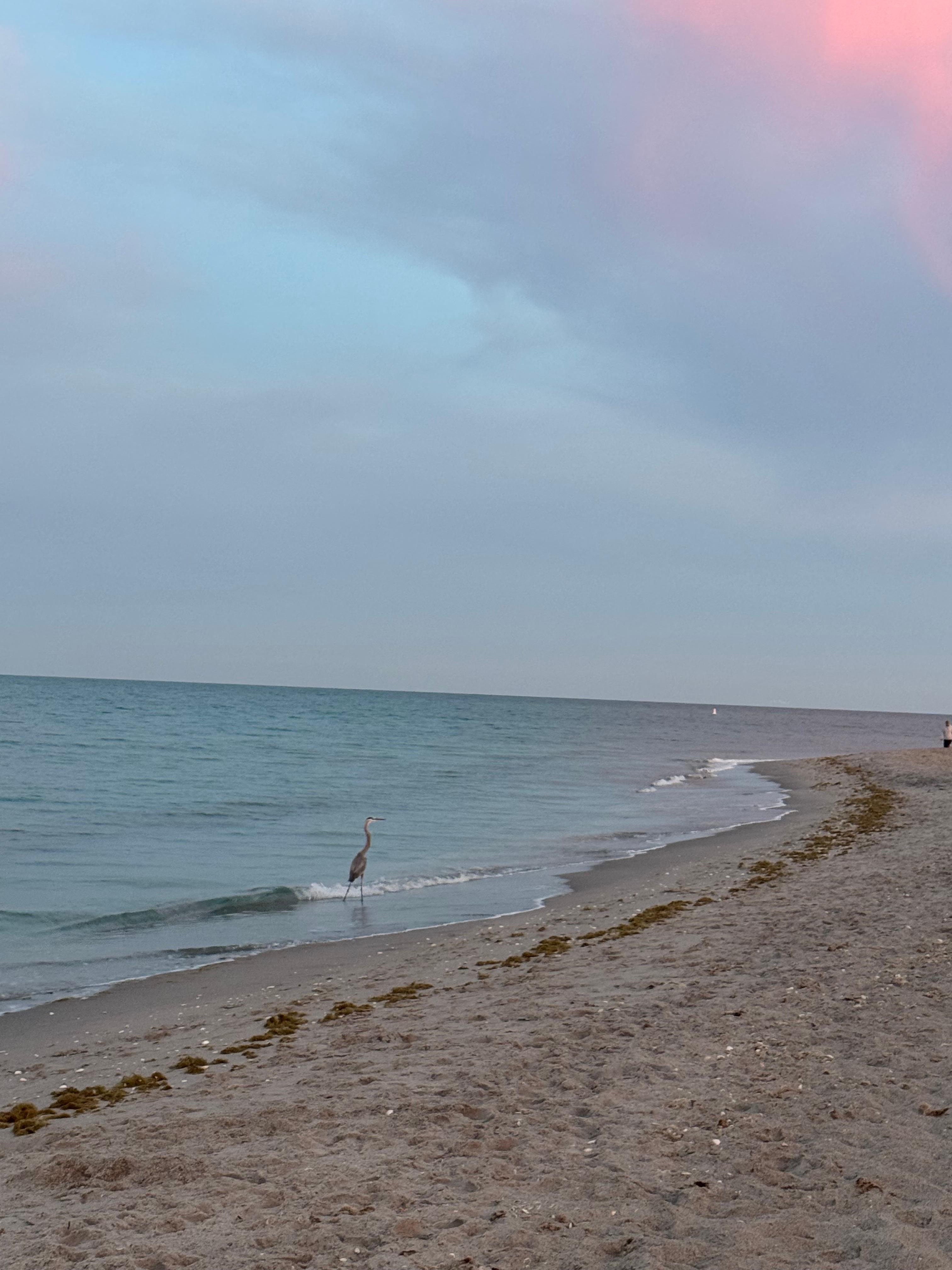 Beach side