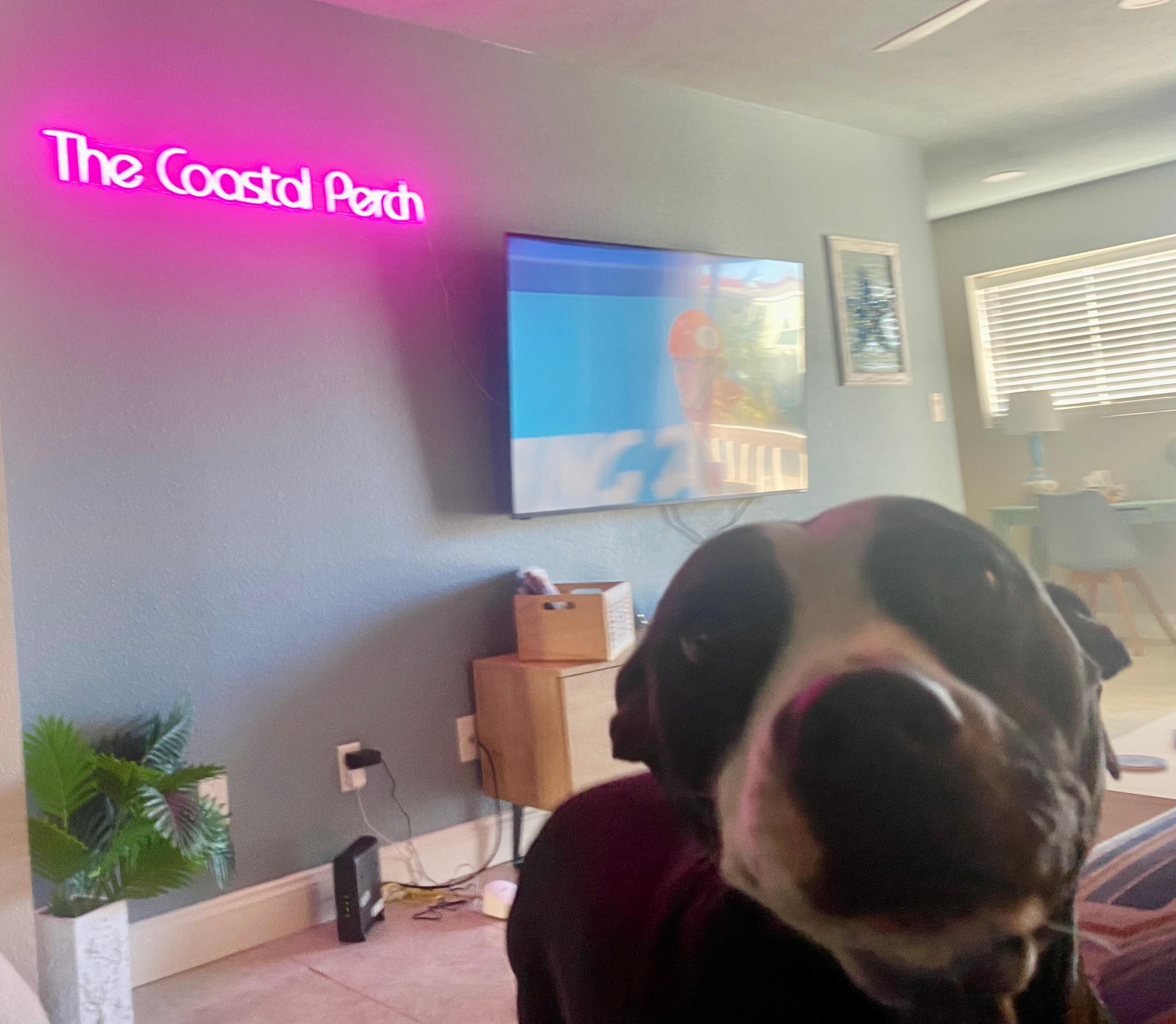 Bella had a great time thank you!