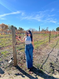 Front vineyard