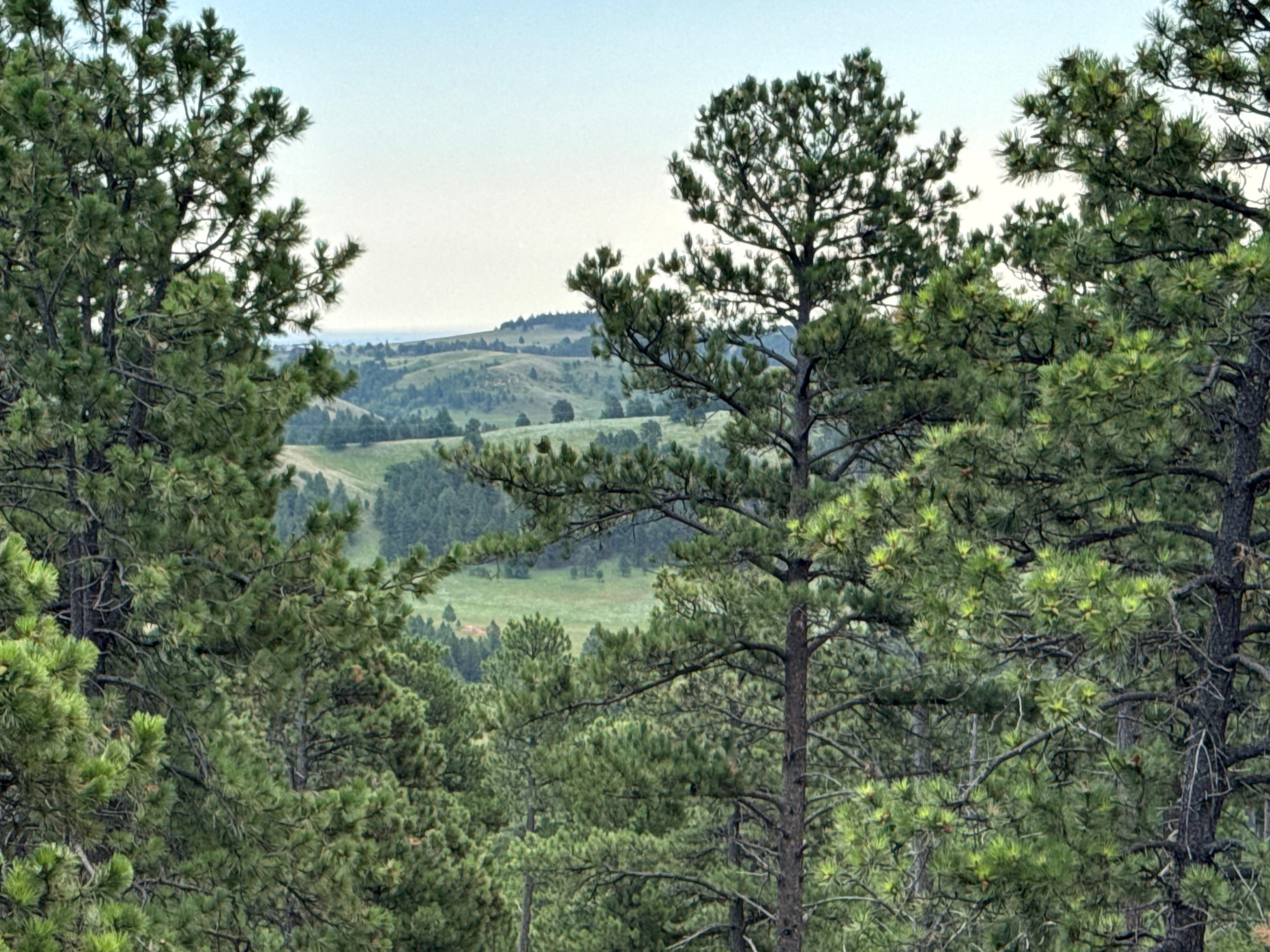 View from the porch!