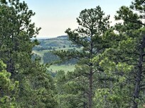 View from the porch!