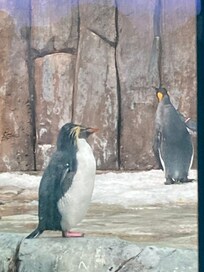 Biodome